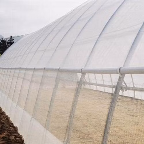 30 50 Mesh Cloche Net with Hoops for Poly Tunnels Tomatoes