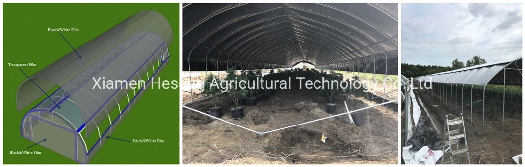 Low Cost Agricultural Single Tunnel House Plastic Film Greenhouses for Tomato/Peppers/Eggplant/Strawberry/Cucumber