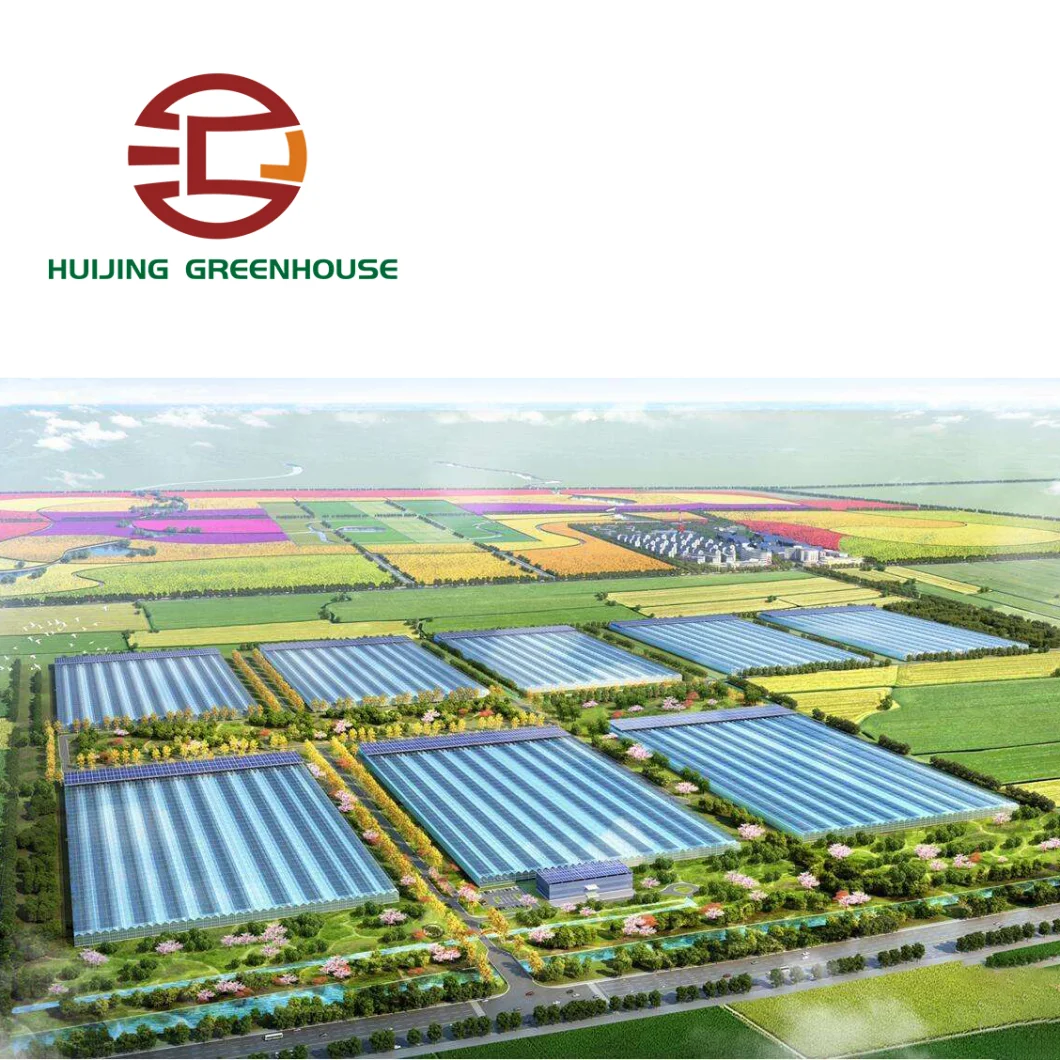 Hot Sale Single Span Tunnel Film Greenhouse with Side Ventilation